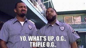 "TRIPLE OG" - ORIGINAL BEEF JERKY - Campfire Cravings -